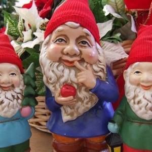 Meet your Posher, Linda